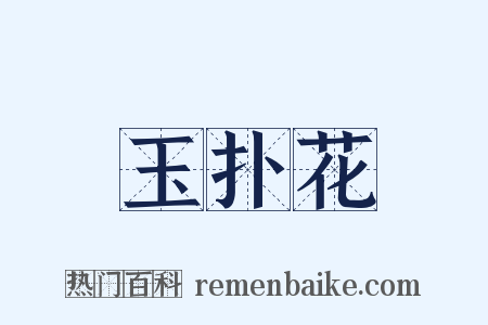 玉扑花是什么意思的图片